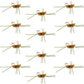 Widerhakenlose Pat's Rubber Legs Tungsten Bead Jigged Coffee/Tan Euro Nymphe – 12er Set, Hakengröße 10
