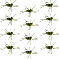 Pat's Rubber Legs Tungsten Jig Black/Olive Euro Nymphe 12 Fliegen Größe 10