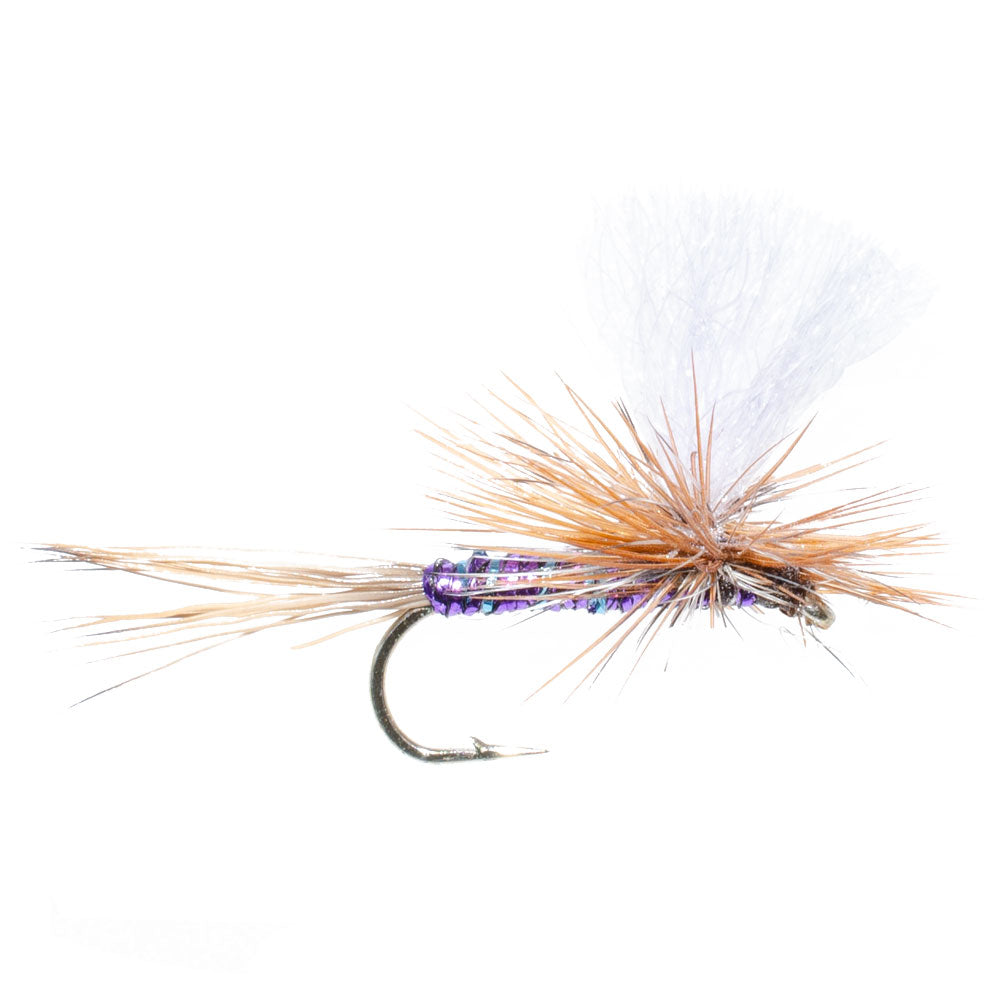Fallschirm Super Flash Purple Haze Trockenfliege - 6 Fliegen Größe 14