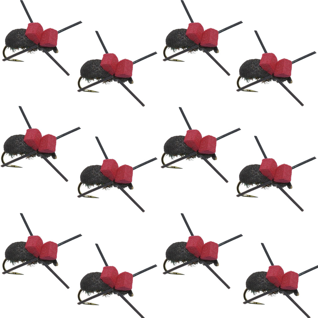 Widerhakenlose Red Top Black Foam Käferlandinsekten-Trockenfliegen zum Forellenangeln – 1 Dutzend Fliegen Größe 14