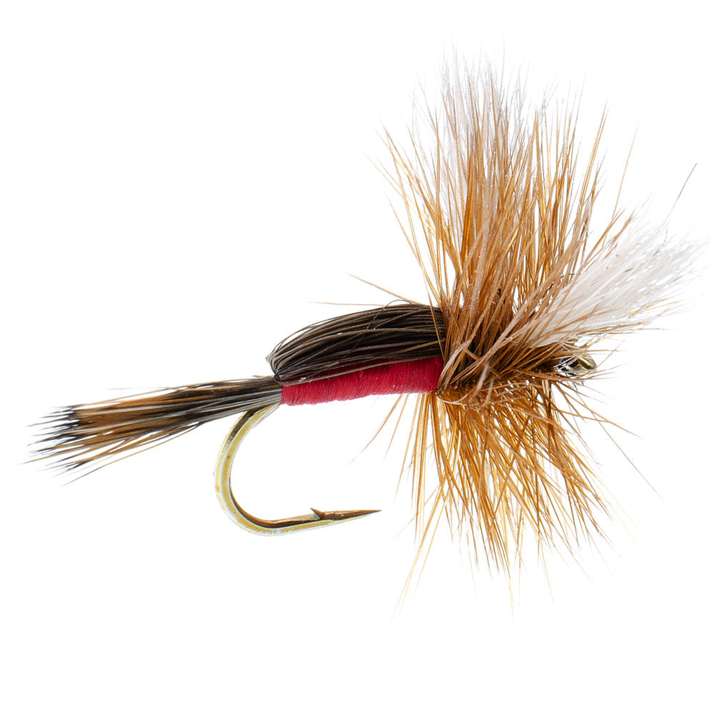 Royal Humpy Classic Hair Wing Trockenfliege – 1 Dutzend Fliegen Hakengröße 8