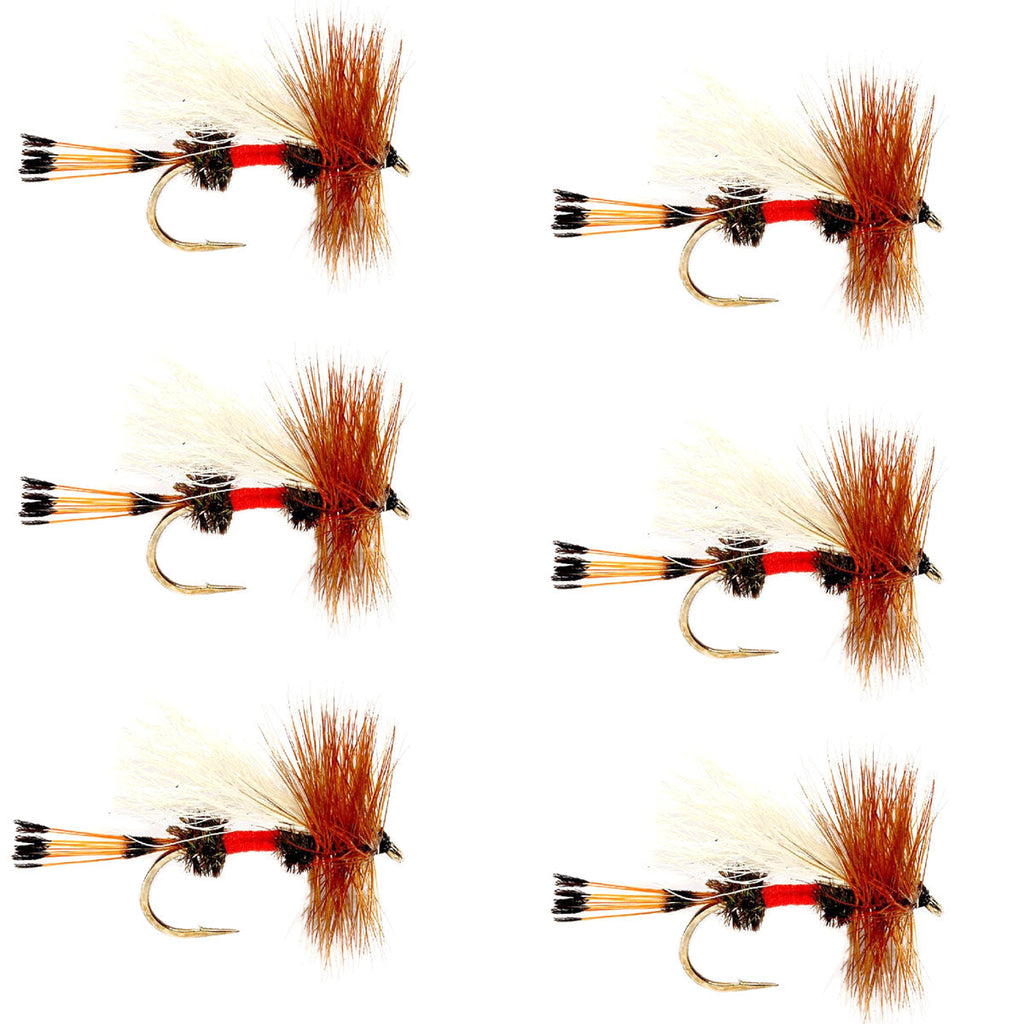 Royal Trude Classic Hair Wing Trockenfliege – 6 Fliegen Hakengröße 16