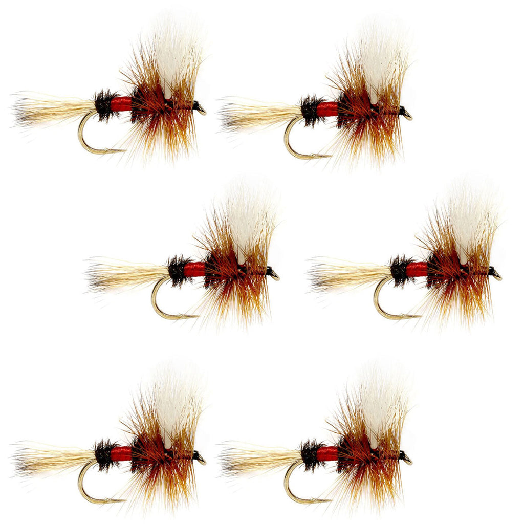 Royal Wulff Classic Trout Trockenfliegen - Set mit 6 Fliegen Größe 16
