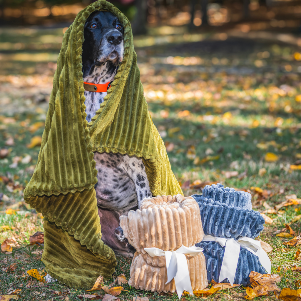 Scout Kuscheldecke Doppelseitige Plüsch-Hundedecke