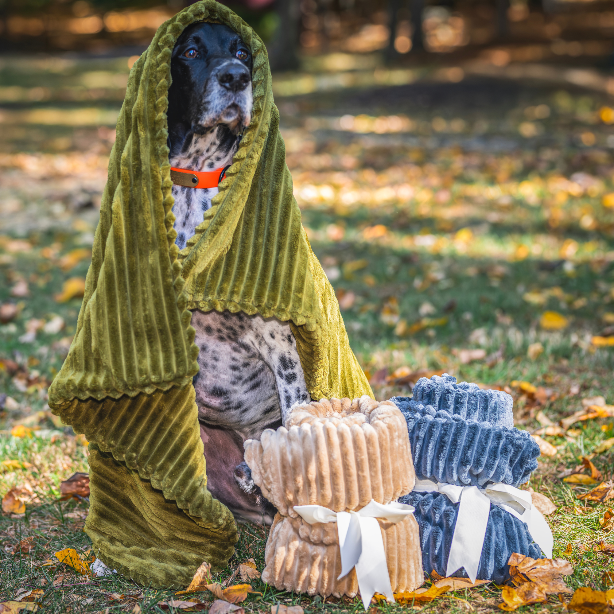 Scout Kuscheldecke Doppelseitige Plüsch-Hundedecke