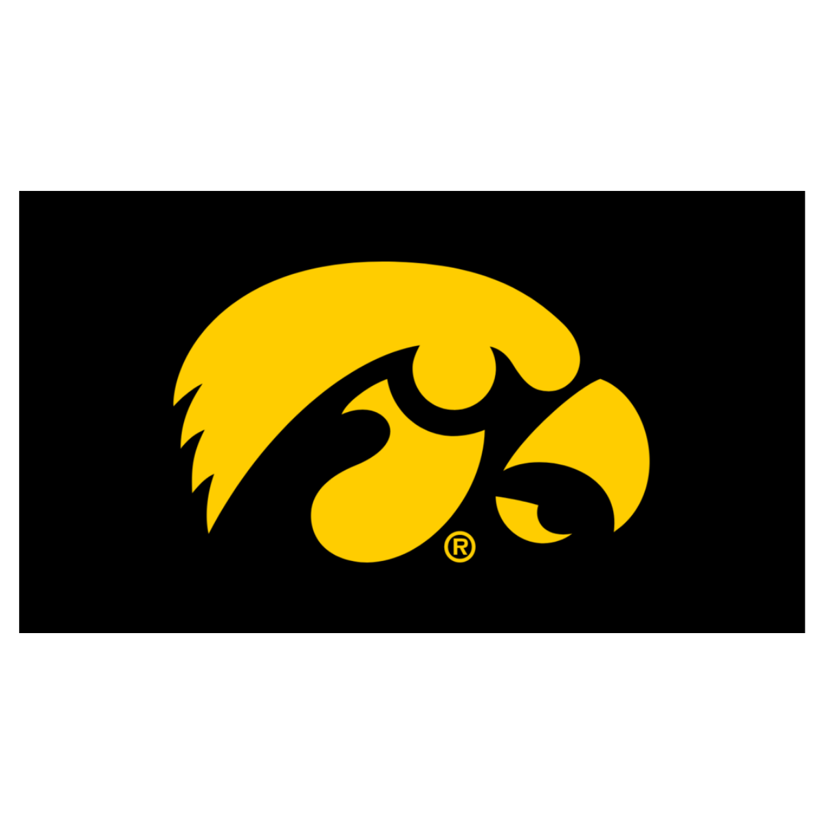 NCAA University of Iowa – Herky the Hawk Knottie® Plüsch-Hundespielzeug