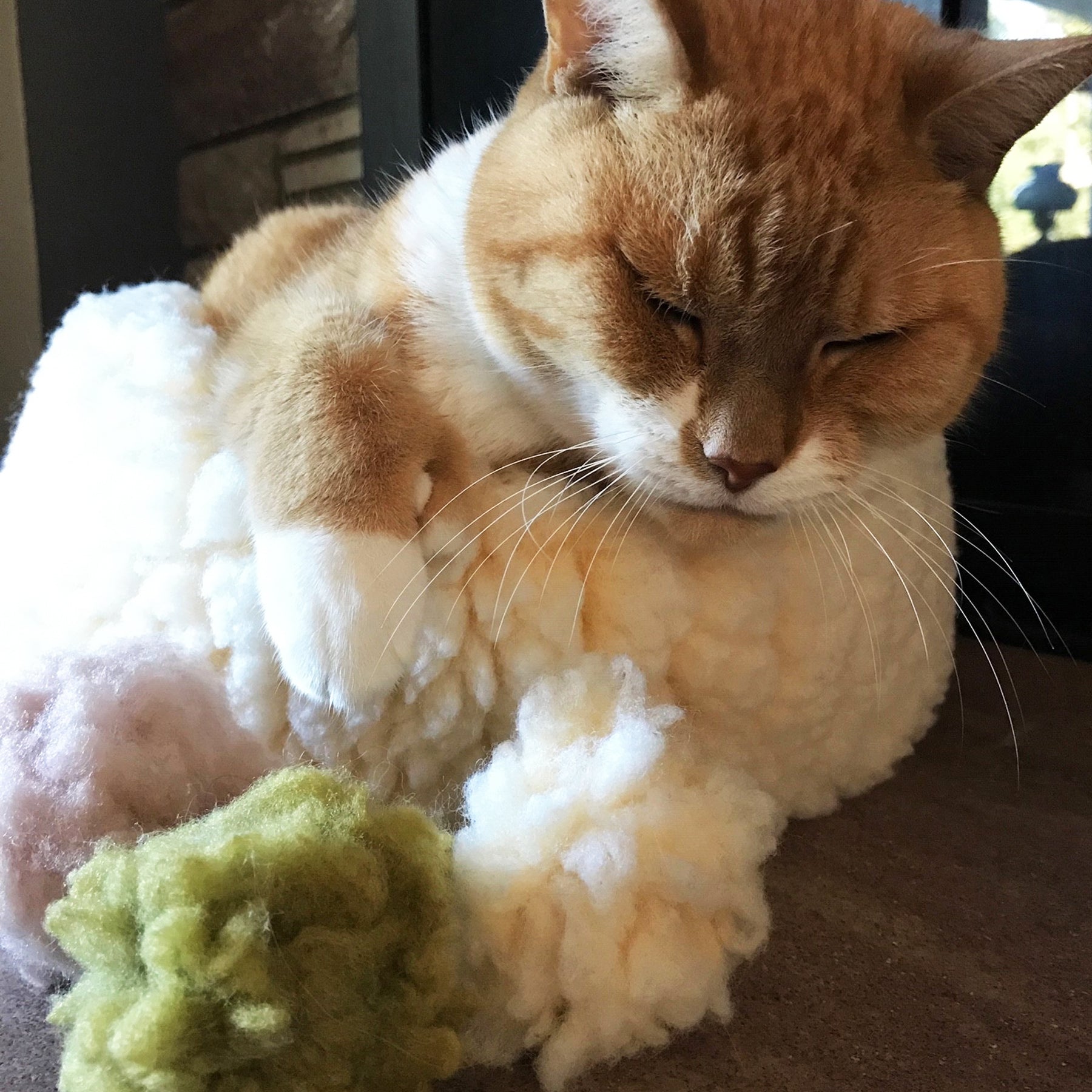 HuggleKats® FlufferFleece™ Ballies Plüsch-Katzenspielzeug, 3er-Pack
