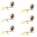Sparkle Dun Pale Morning Dun PMD Eintagsfliege 6 Fliegen Hakengröße 18