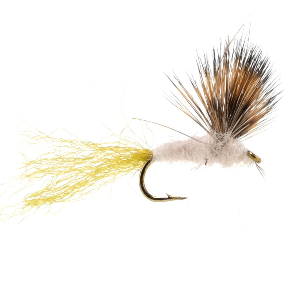 3er-Pack Sparkle Dun Pale Morning Dun PMD Maifliegen Hakengröße 18