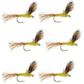 Sparkle Dun Pale Morning Dun PMD Yellow Body Mayfly 6 Flies Hook size 18