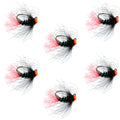 Wolfram-Hot-Bead-Jig Taktische Lötlampe Tschechische Nymphe Euro Nymphing Fliege - 6 Fliegen Größe 16