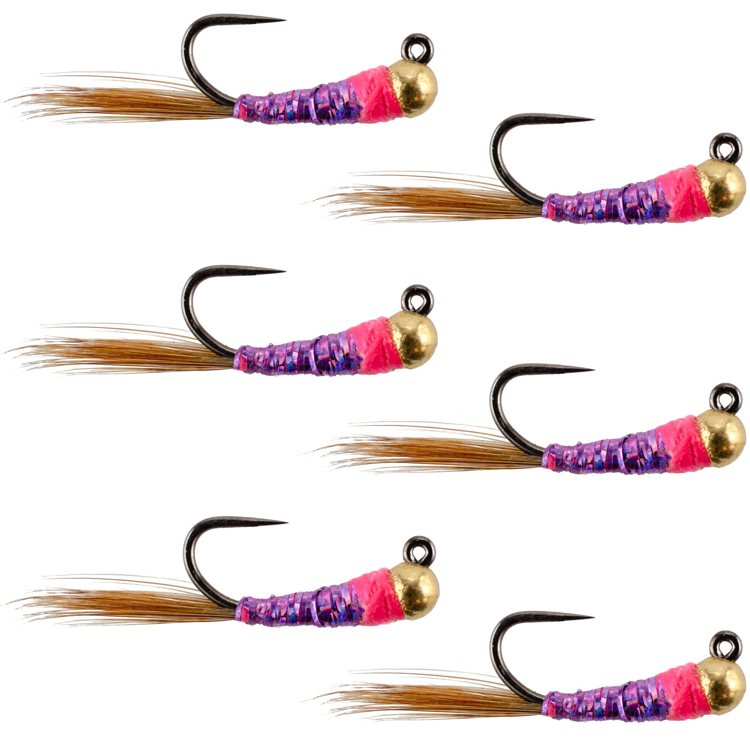 Wolfram Hot Spot Purple Perdigon Tactical Euro Nymph Fliege – 6 Fliegen Größe 16
