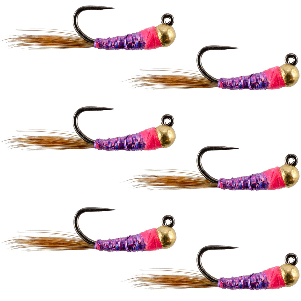 Wolfram Hot Spot Purple Perdigon Taktische Euro Nymphenfliege – 6 Fliegen Größe 14