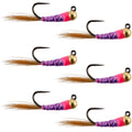 Wolfram Hot Spot Purple Perdigon Taktische Euro Nymphenfliege – 6 Fliegen Größe 14