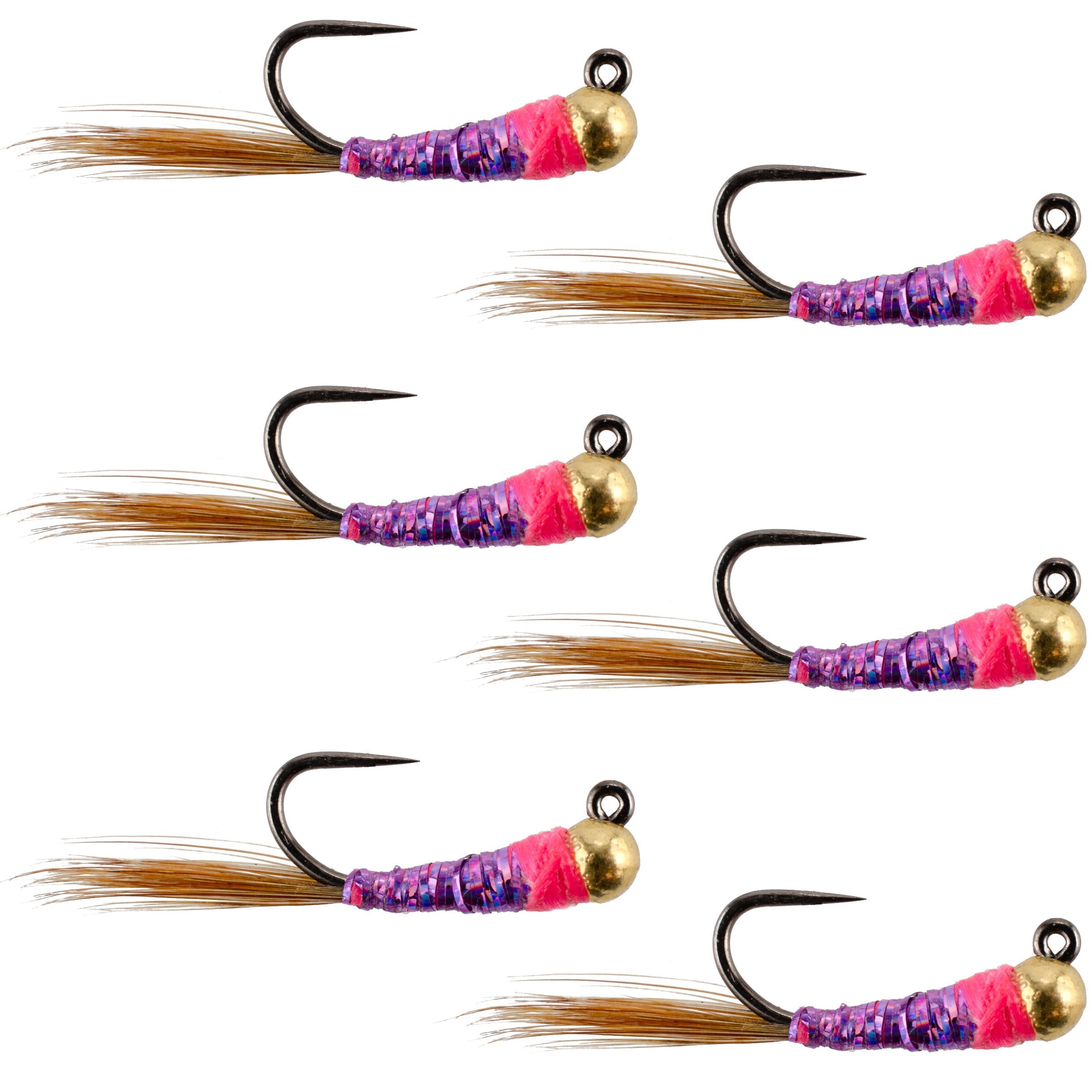 Wolfram Hot Spot Purple Perdigon Taktische Euro Nymphenfliege – 6 Fliegen Größe 14