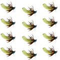 Wolfram-Perle Chartreuse Mop Fly Tactical Jig Czech Euro Nymph Widerhakenlose Fliege – 1 Dutzend Fliegen Größe 14