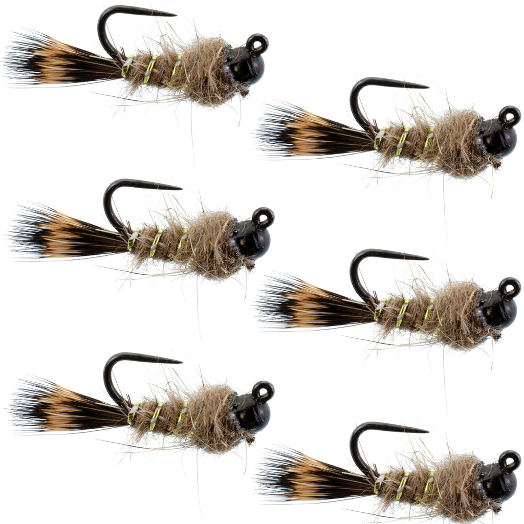 Schwarze Wolframkopf Tactical Hasenohr Czech Nymph Euro Nymphing Fliege - 6 Fliegen Größe 14