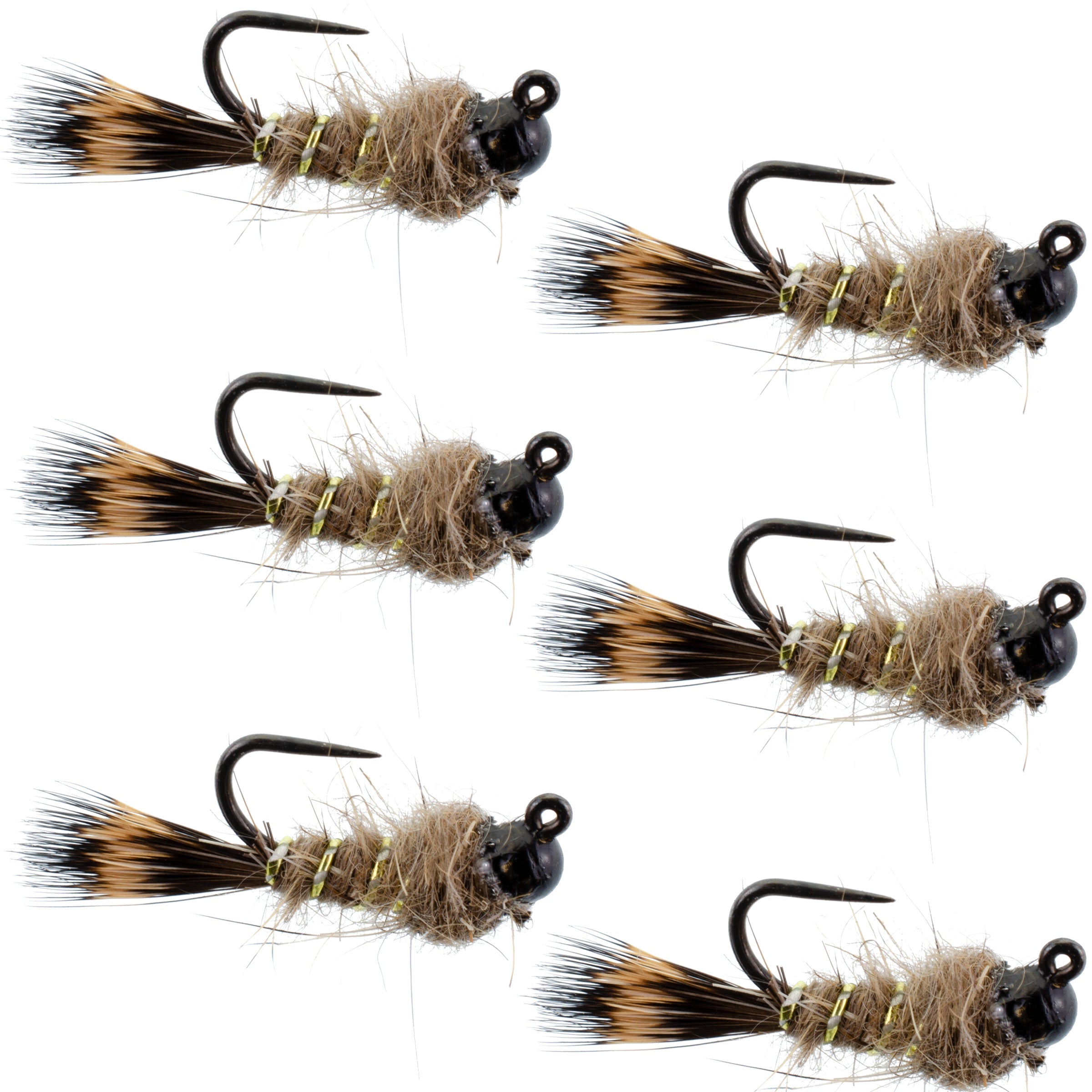 Schwarze Wolframkopf Tactical Hasenohr Czech Nymph Euro Nymphing Fliege - 6 Fliegen Größe 14