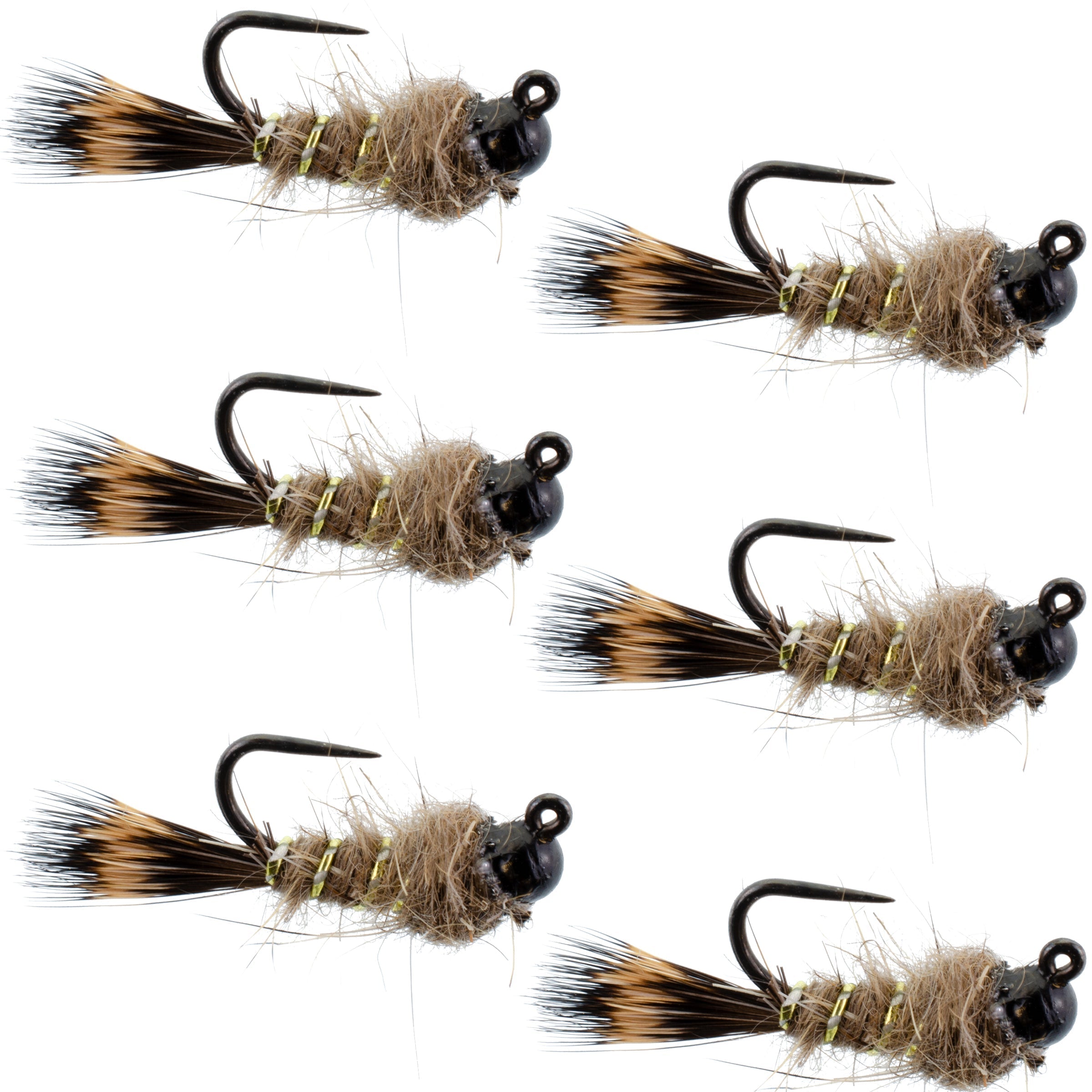 Schwarzer Tungsten Bead Tactical Hares Ear Czech Nymph Euro Nymphing Fliege – 6 Fliegen Größe 18