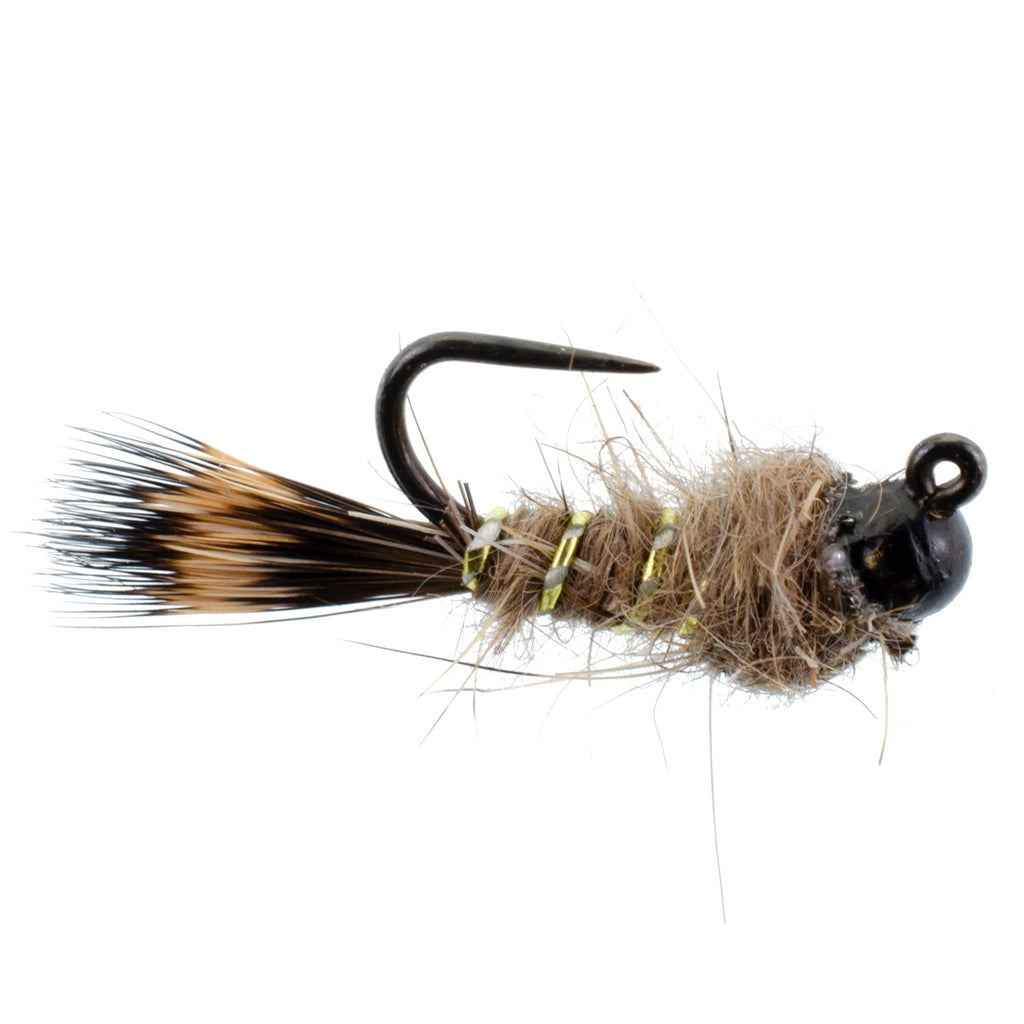Schwarze Wolframkopf Tactical Hasenohr Czech Nymph Euro Nymphing Fliege - 6 Fliegen Größe 14