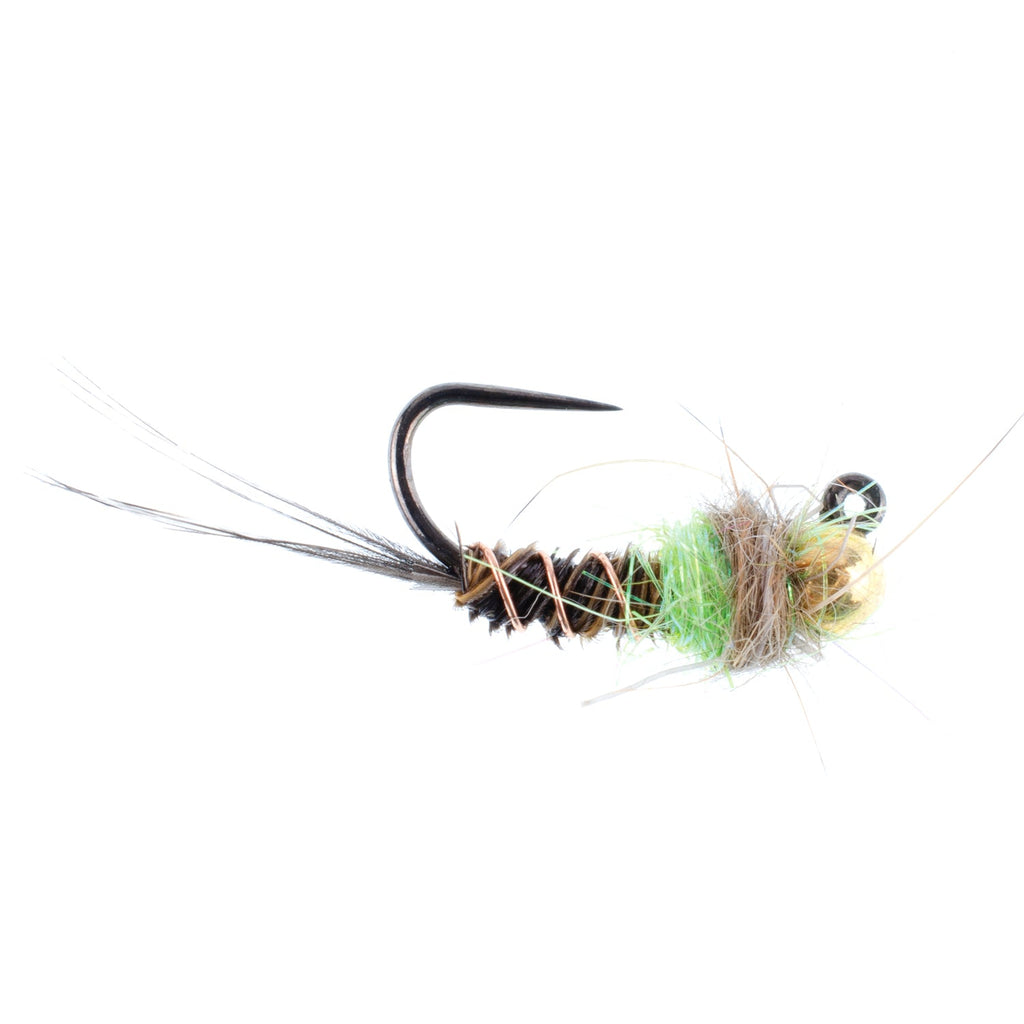 Tungsten Hot Spot Pheasant Tail Tactical Nymph Euro Jig - 6 Flies Size 16