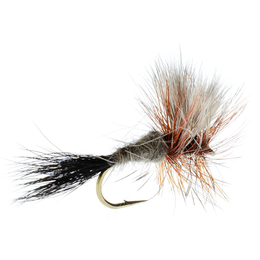 Ausable Wulff Classic Trockenfliege 1 Dutzend Fliegen Hakengröße 10