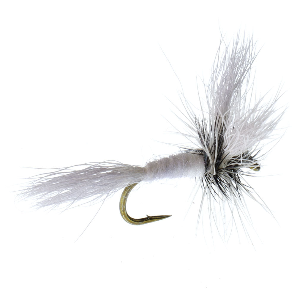 Wulff White Classic Trockenfliege ohne Widerhaken – 6 Fliegen Hakengröße 12