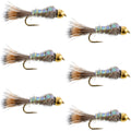 Tungsten Bead Head Nymphen Angel Fliegen - Flashback Gold Ribbed Hare's Ear Forellenfliege - Nymphen Nassfliege - 6 Fliegen Hakengröße 14