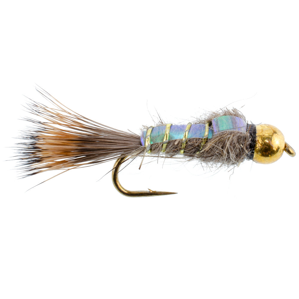 Basics Collection - Flash Back Tungsten Bead Head Nymphs 10 Flies  #10-16