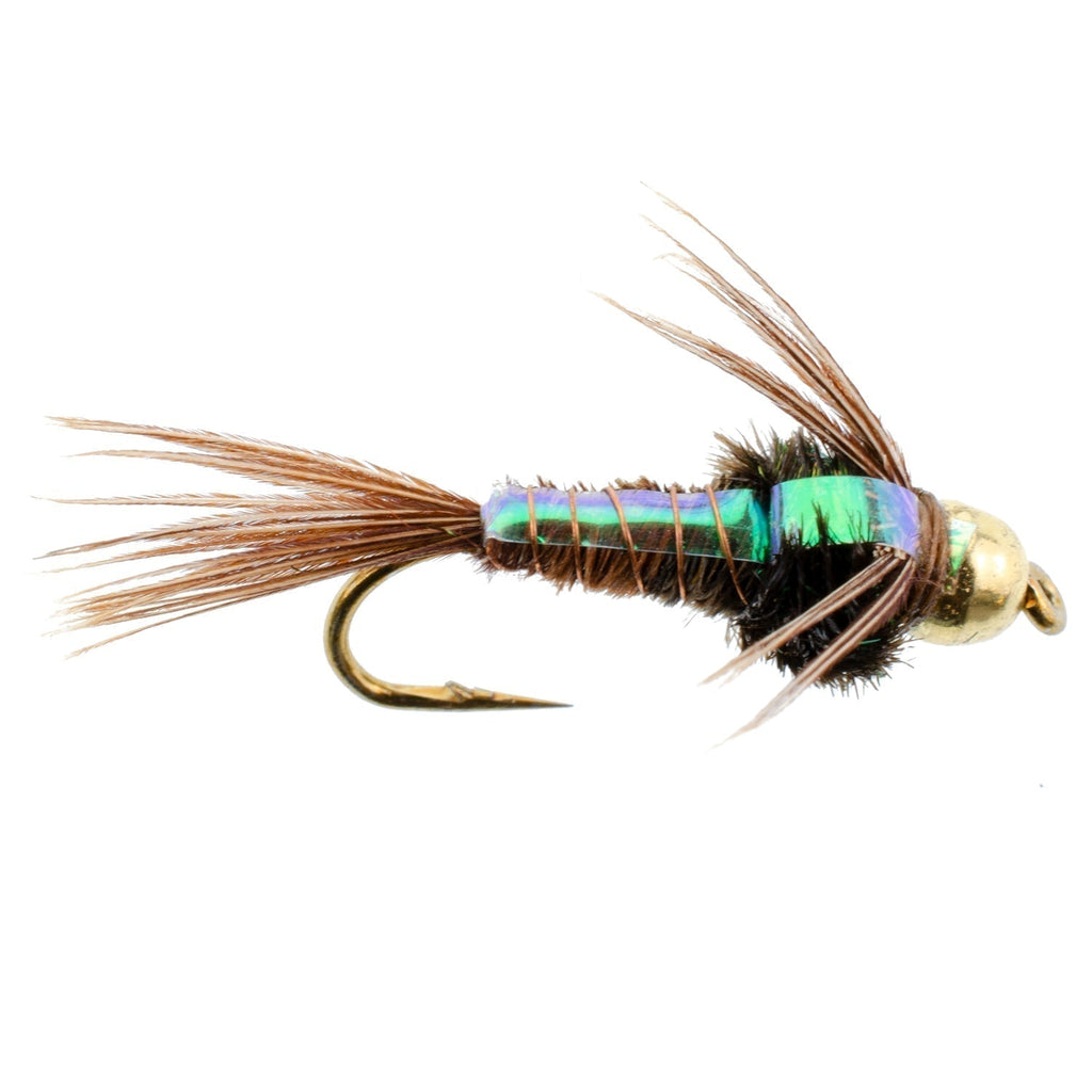 Wolframkopf Flash Back Goldfasan Nymphe 1 Dutzend Fliegen Größe 12