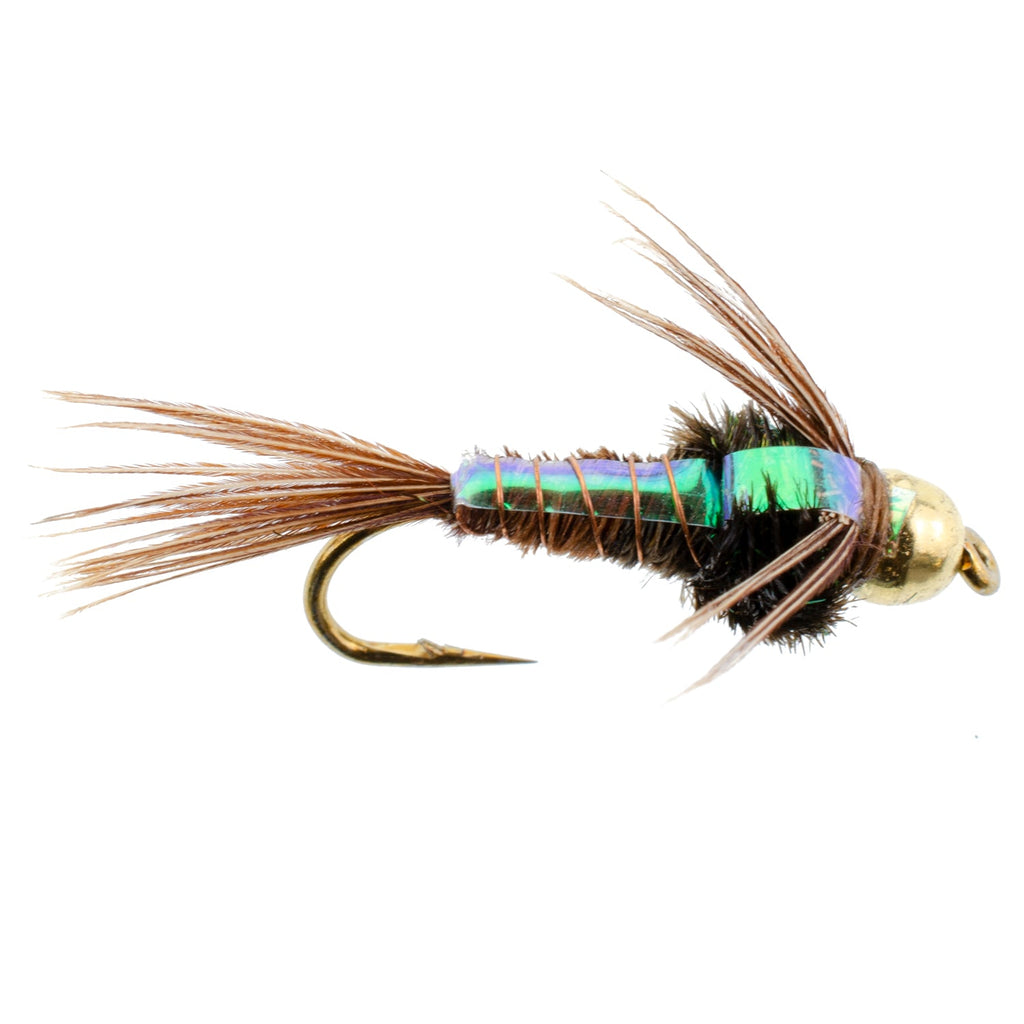 Basics Collection - Copper John - Flash Back Nymph Kit - 10 Flies #10-16