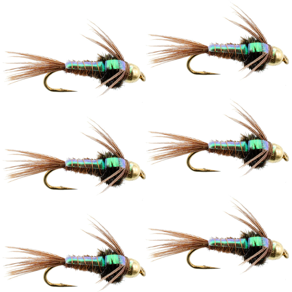 Bead Head Flash Back Pheasant Tail Nymphe Fliegen - 6 Fliegen Hakengröße 10