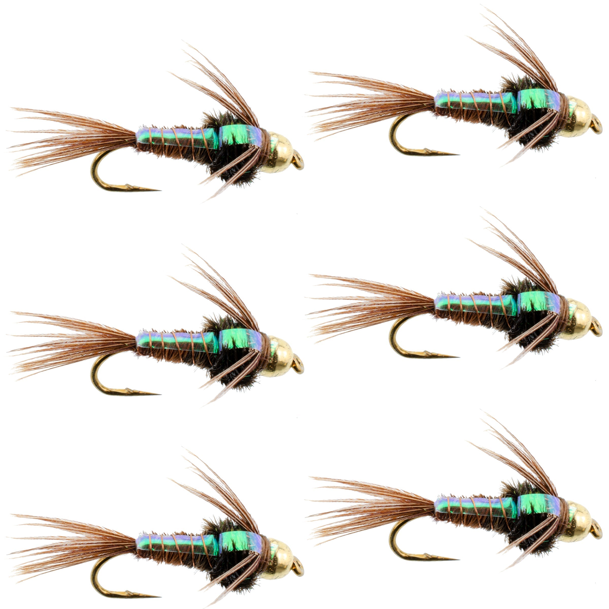 Bead Head Flash Back Pheasant Tail Nymphe Fliegen - 6 Fliegen Hakengröße 10