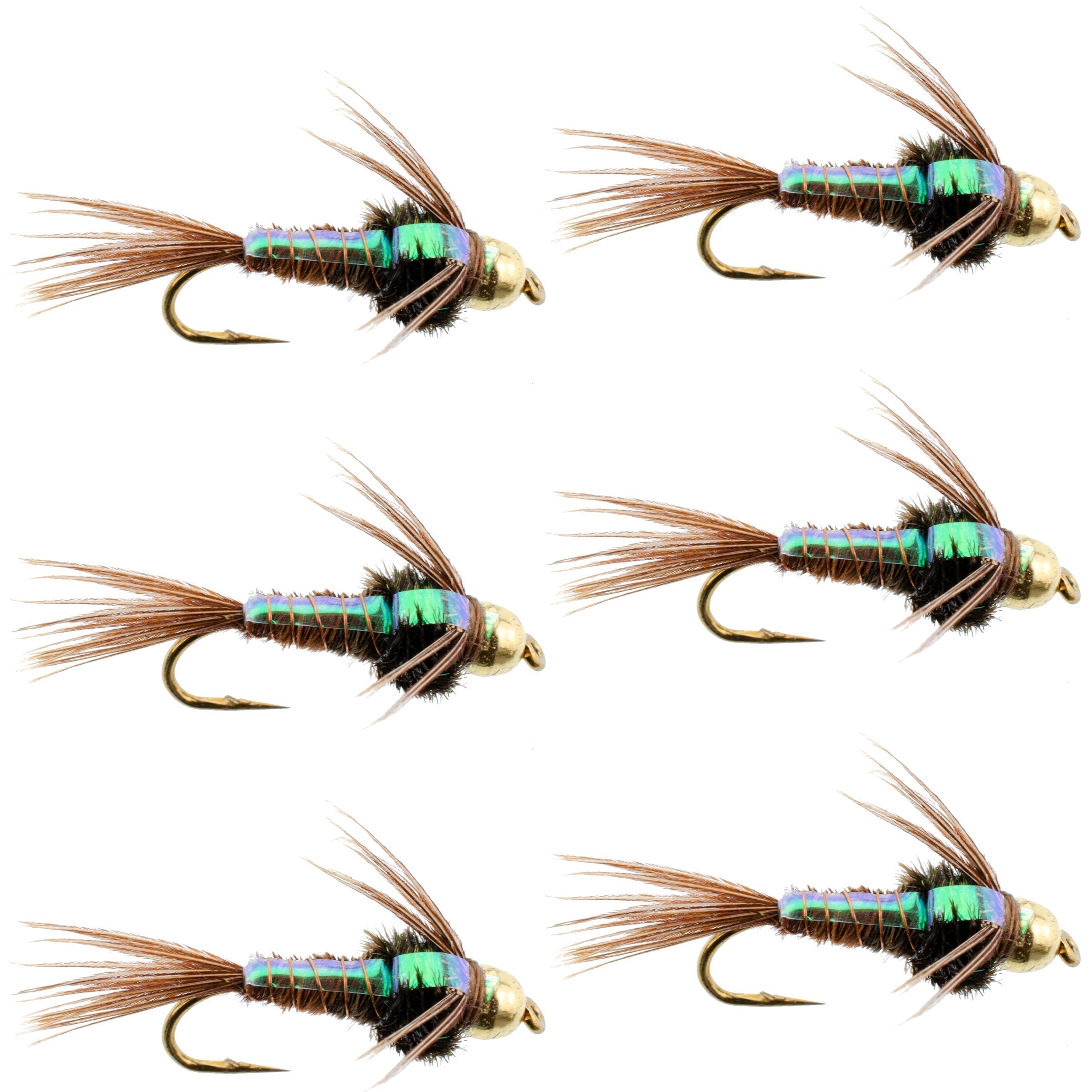 Bead Head Flash Back Pheasant Tail Nymph Angel Fliegen – 6 Fliegen Hakengröße 18