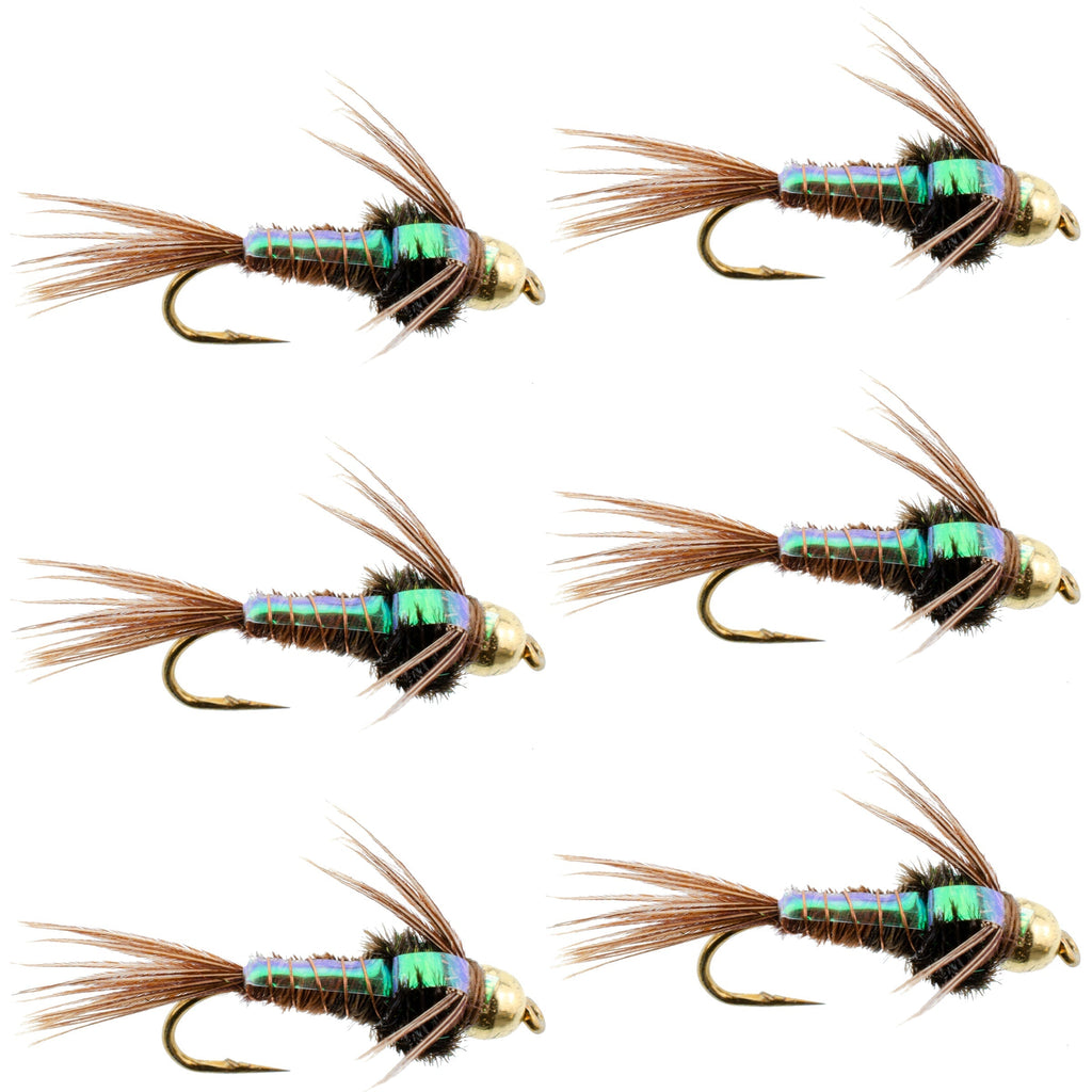 Bead Head Flash Back Pheasant Tail Nymphen Fliegen – 6 Fliegen Hakengröße 14