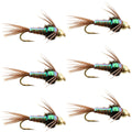 Bead Head Flash Back Pheasant Tail Nymphen Fliegen – 6 Fliegen Hakengröße 14