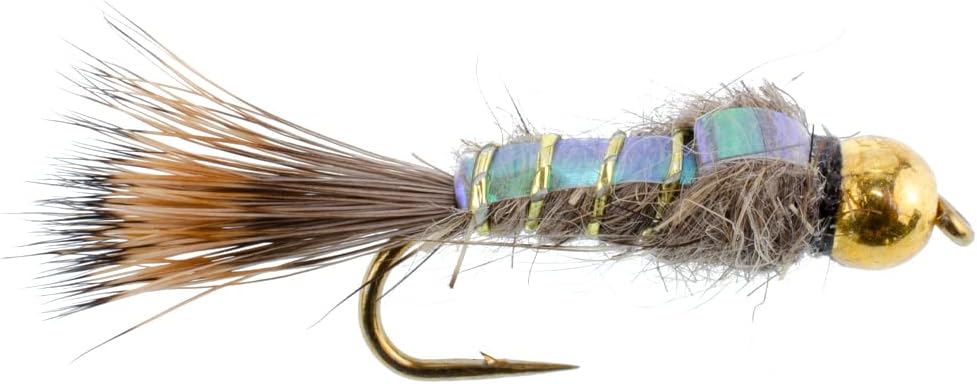 Tungsten Bead Head Nymphen Angel Fliegen - Flashback Gold Ribbed Hare's Ear Forellenfliege - Nymphen Nassfliege - 6 Fliegen Hakengröße 14