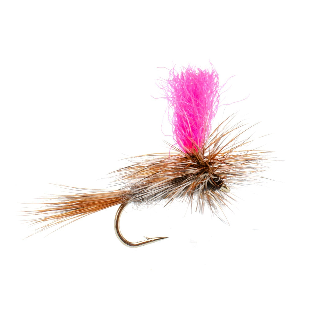 Eastern Trout Fly Assortment - 12 Essential Trout Flies Collection