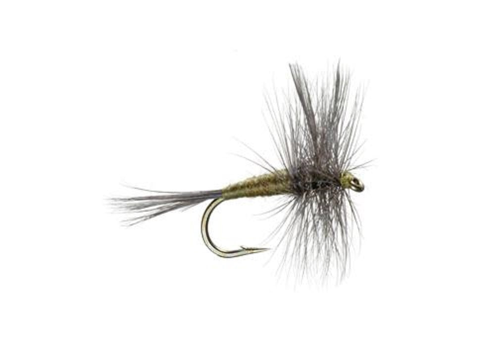 3er-Pack Blue Wing Olive BWO Classic Trockenfliege - Hakengröße 14
