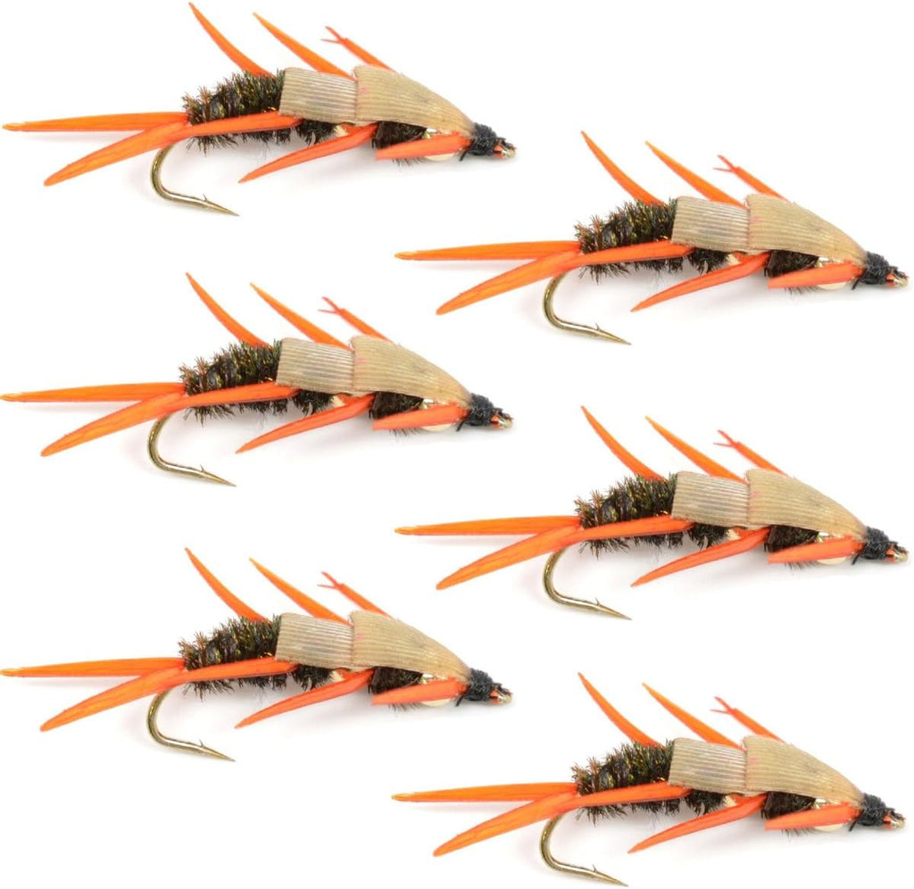 Doppelte Bead-Pfauen-Steinmückenlarve mit bernsteinfarbenen Bioth-Beinen, Fliegen zum Fliegenfischen – Forellen- und Barsch-Nassfliegenmuster – 6 Fliegen, Hakengröße 12