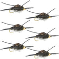 Goldkopf Kaufmann's Black Stonefly mit Gummibeinen - Steinfliegen-Nassfliege - 6 Fliegen Hakengröße 10