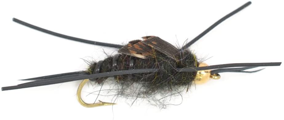 Basics-Kollektion – Kaufmann's Tungsten Black Stonefly Kit 10 Fliegen #4-12