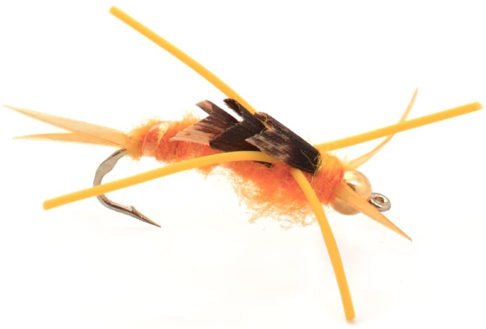 Basics Collection - Kaufmann's Tungsten Stonefly Nymphs 10 Flies  #4-12
