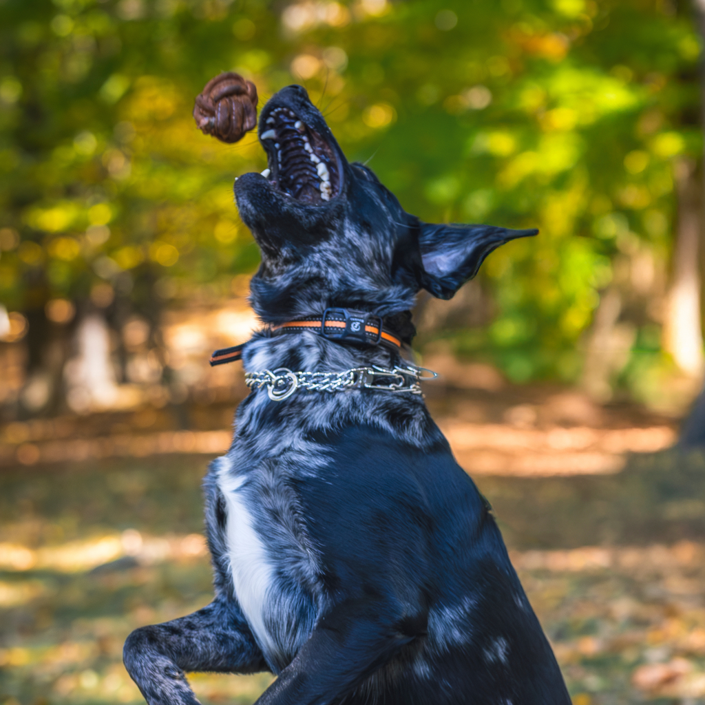 Huggle-Hide® Hundespielzeug aus Naturlederball, 2er-Pack