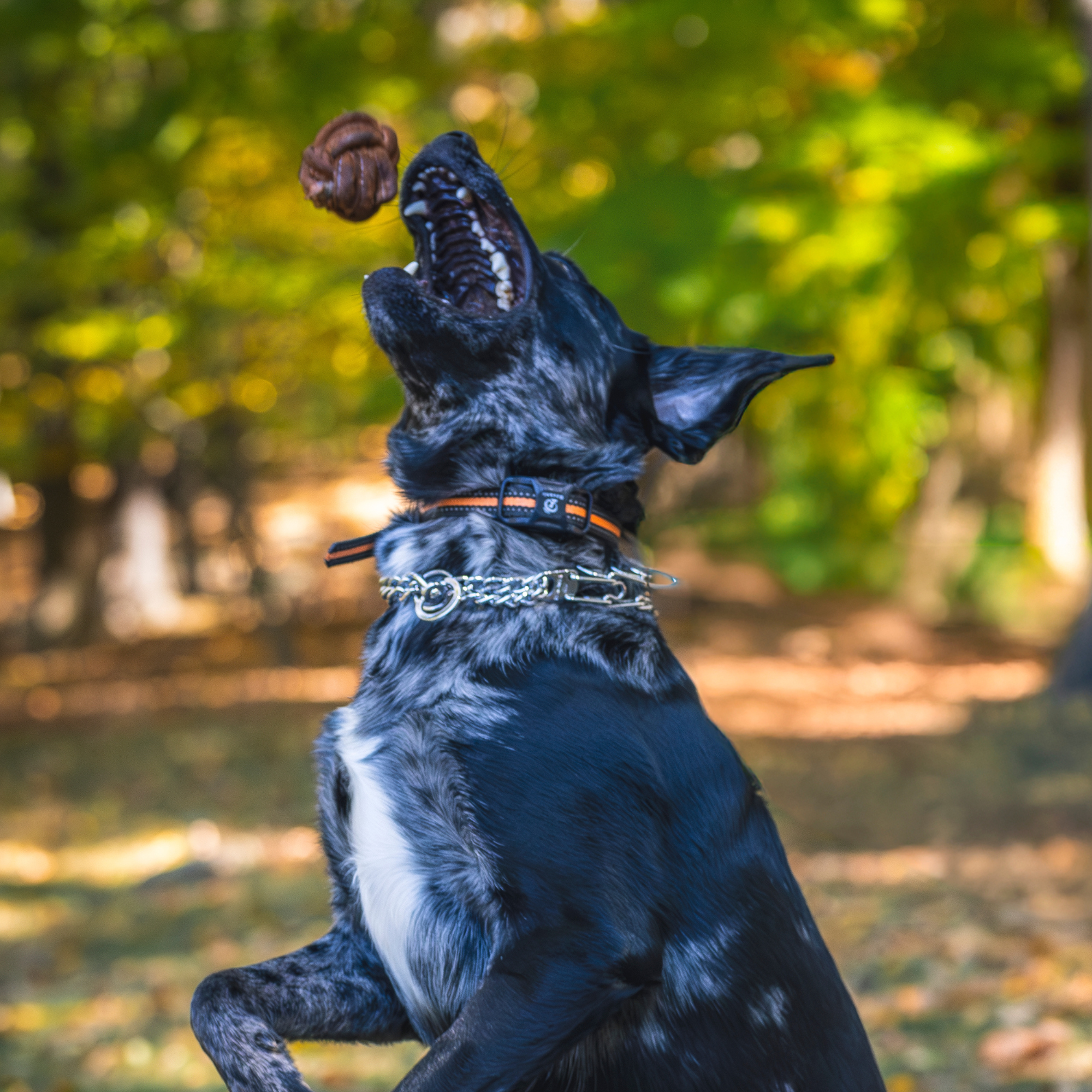 Huggle-Hide® Hundespielzeug aus Naturlederball, 2er-Pack