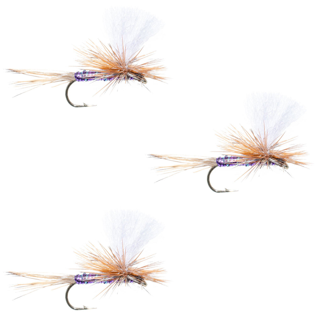 3er-Pack Fallschirm Super Flash Purple Haze Trockenfliege – Größe 12