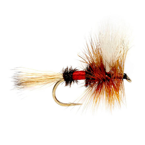 3er-Pack widerhakenlose Royal Wulff Classic Hair Wing Trockenfliege – Hakengröße 10