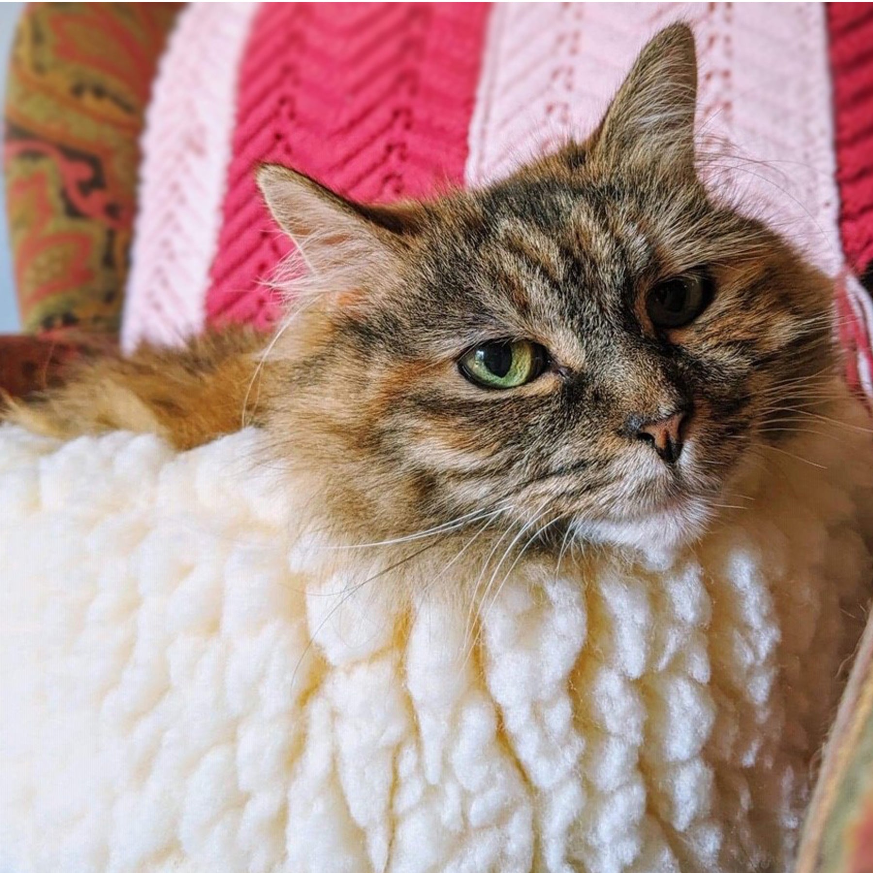 HuggleFleece® HuggleSnuggler™ Katzen- & Hundebetten