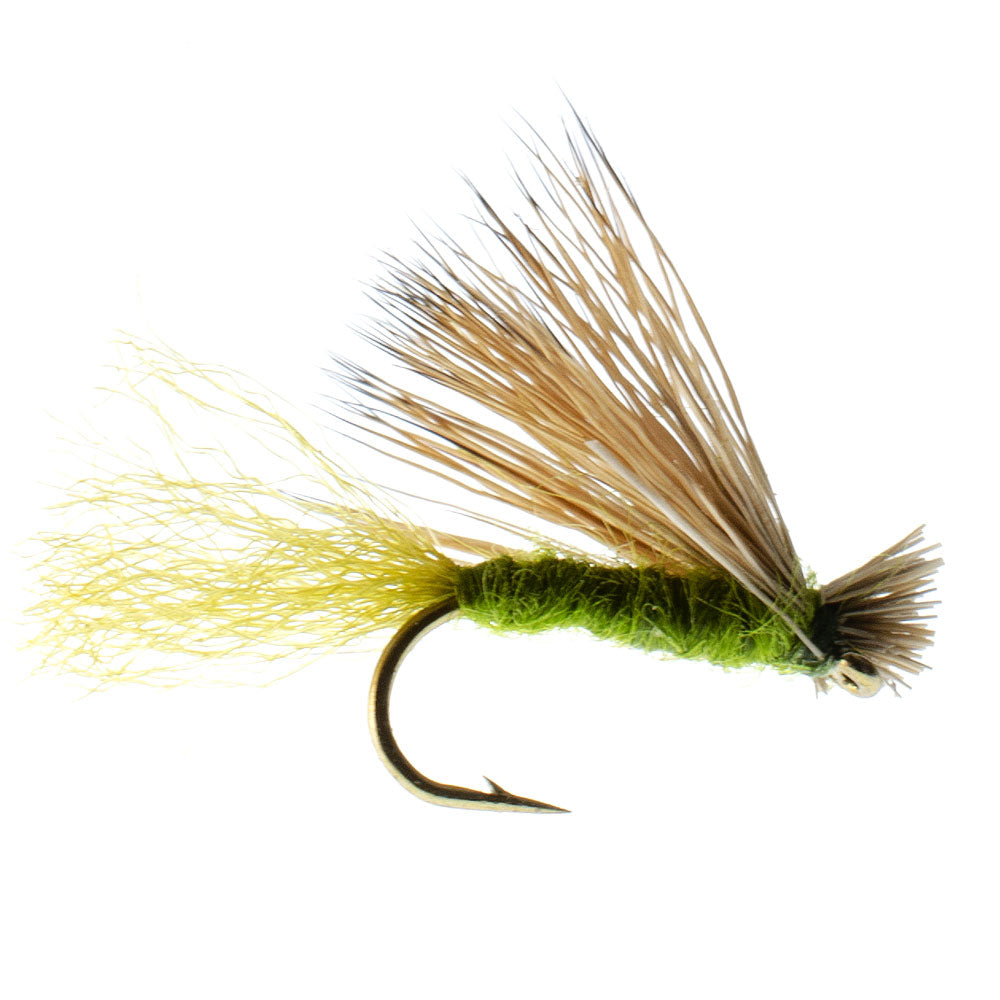 Olive X Caddis Emerger Caddis Trockenfliege für Forellen - 6 Fliegen Hakengröße 16