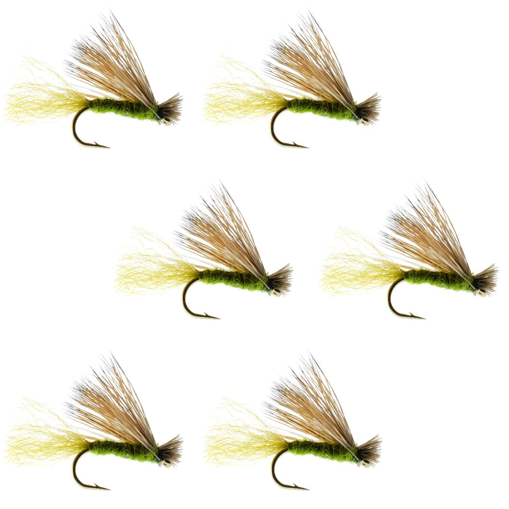 Olive X Caddis Emerger Caddis Trockenfliege für Forellen – 6 Fliegen Hakengröße 14